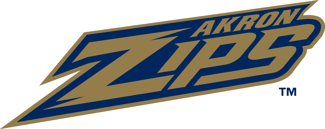 Akron Zips 2002-Pres Wordmark Logo diy DTF decal sticker